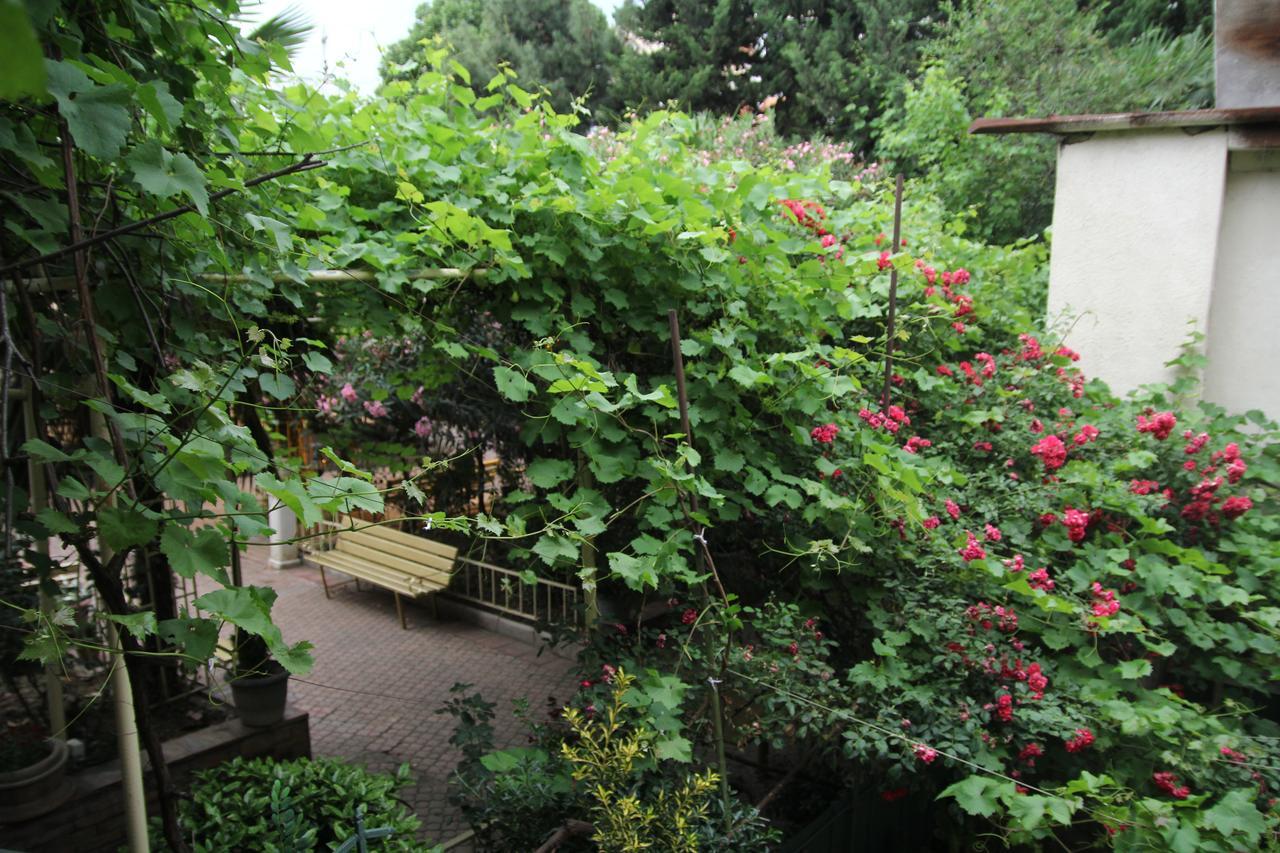 Guesthouse Different Tbiliszi Kültér fotó